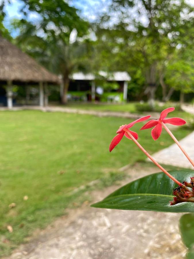 Eco Hotel Bosque Encantado グランデ島 エクステリア 写真