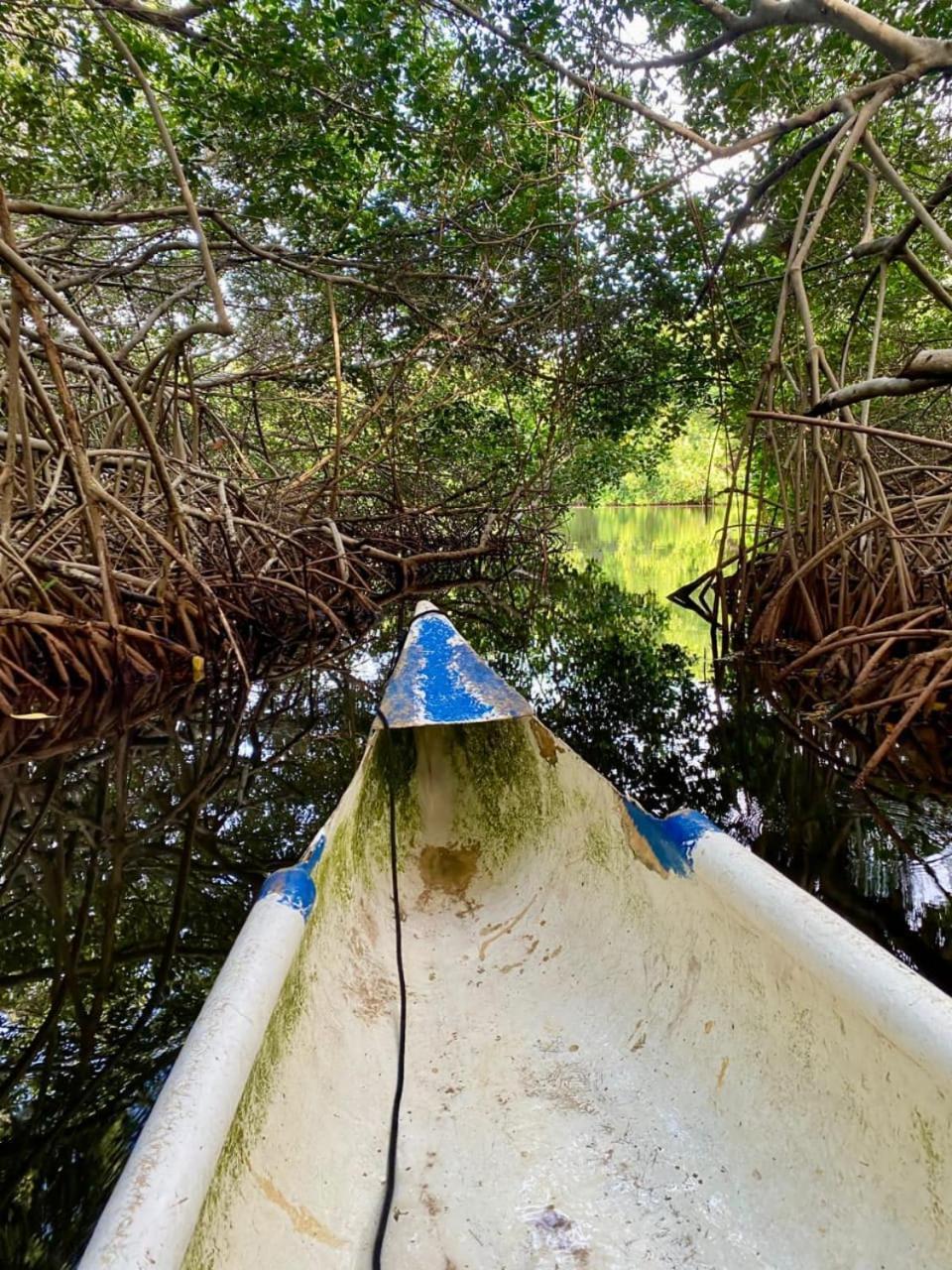 Eco Hotel Bosque Encantado グランデ島 エクステリア 写真