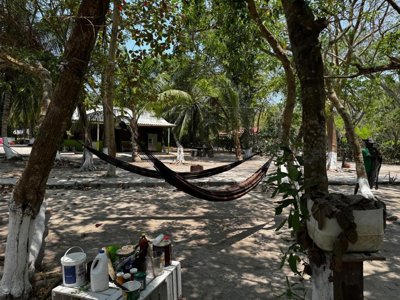 Eco Hotel Bosque Encantado グランデ島 エクステリア 写真